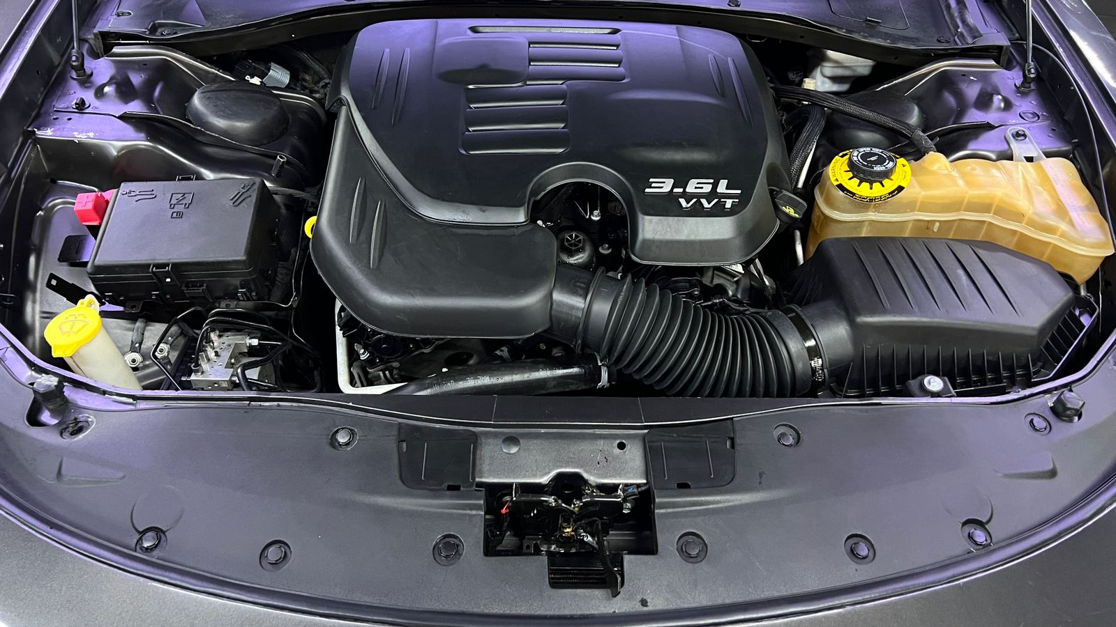 WhatsApp Image 2025-04-03 at 3.28.58 PM (1)